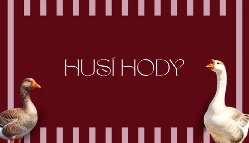 Husí hody